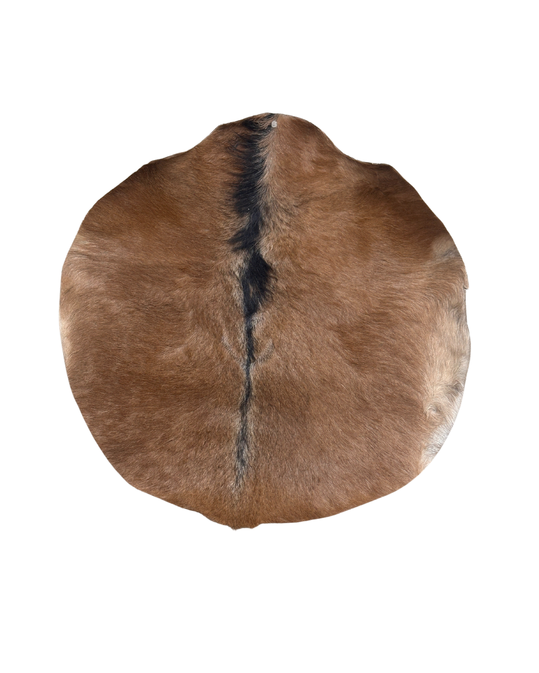 Goat skin