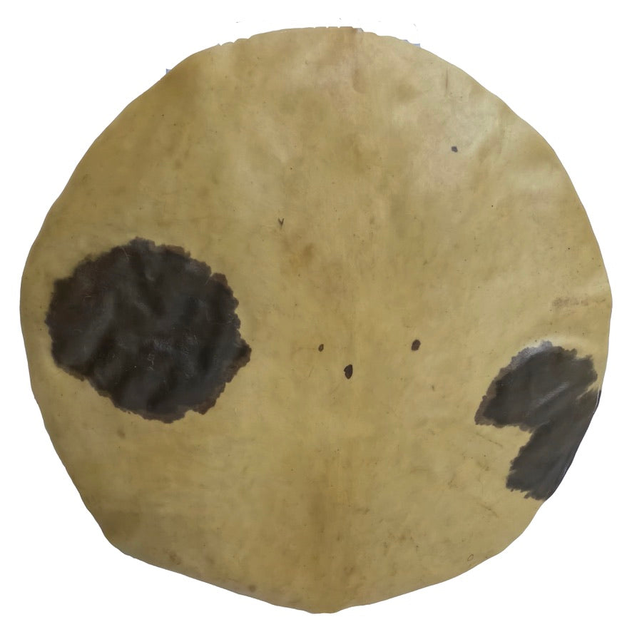 Calf Skin w/ Spine