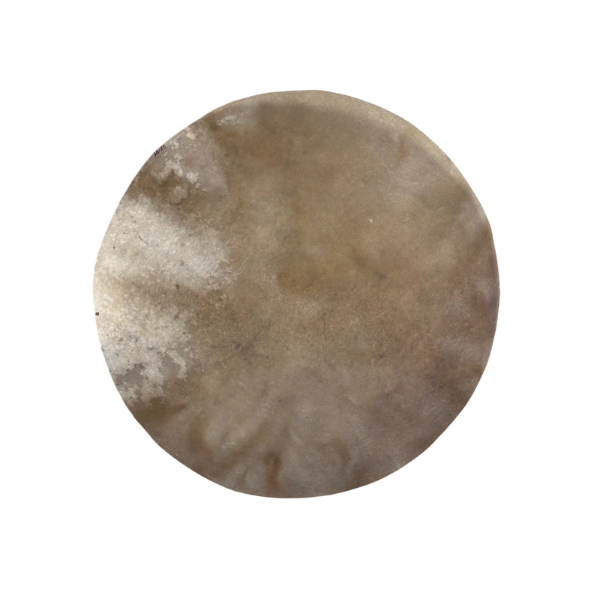 Horse skin