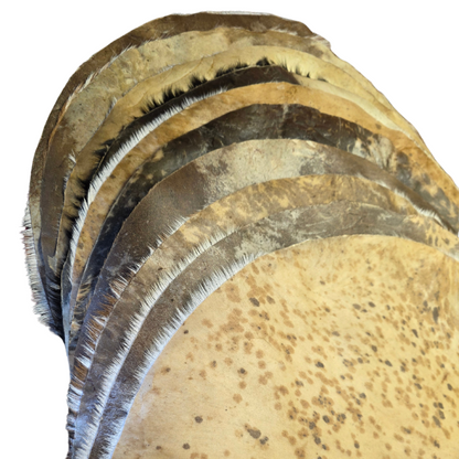 Variety 10 Pieces Goat Skin with Hair