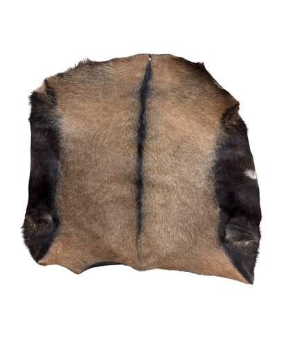 Goat skin