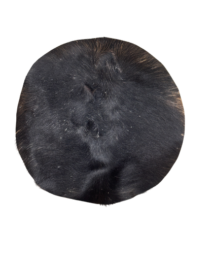 Buffalo Skin