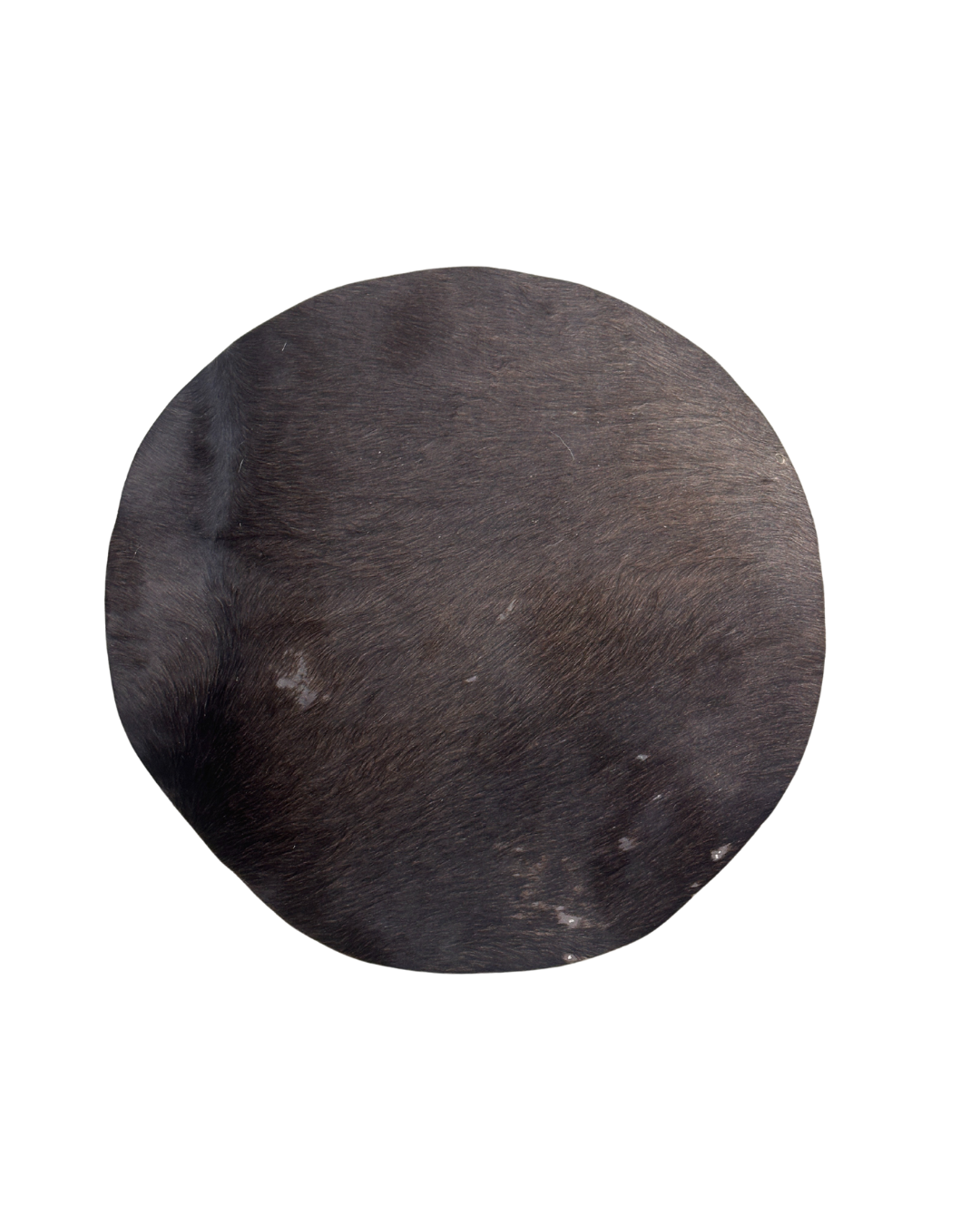Horse skin