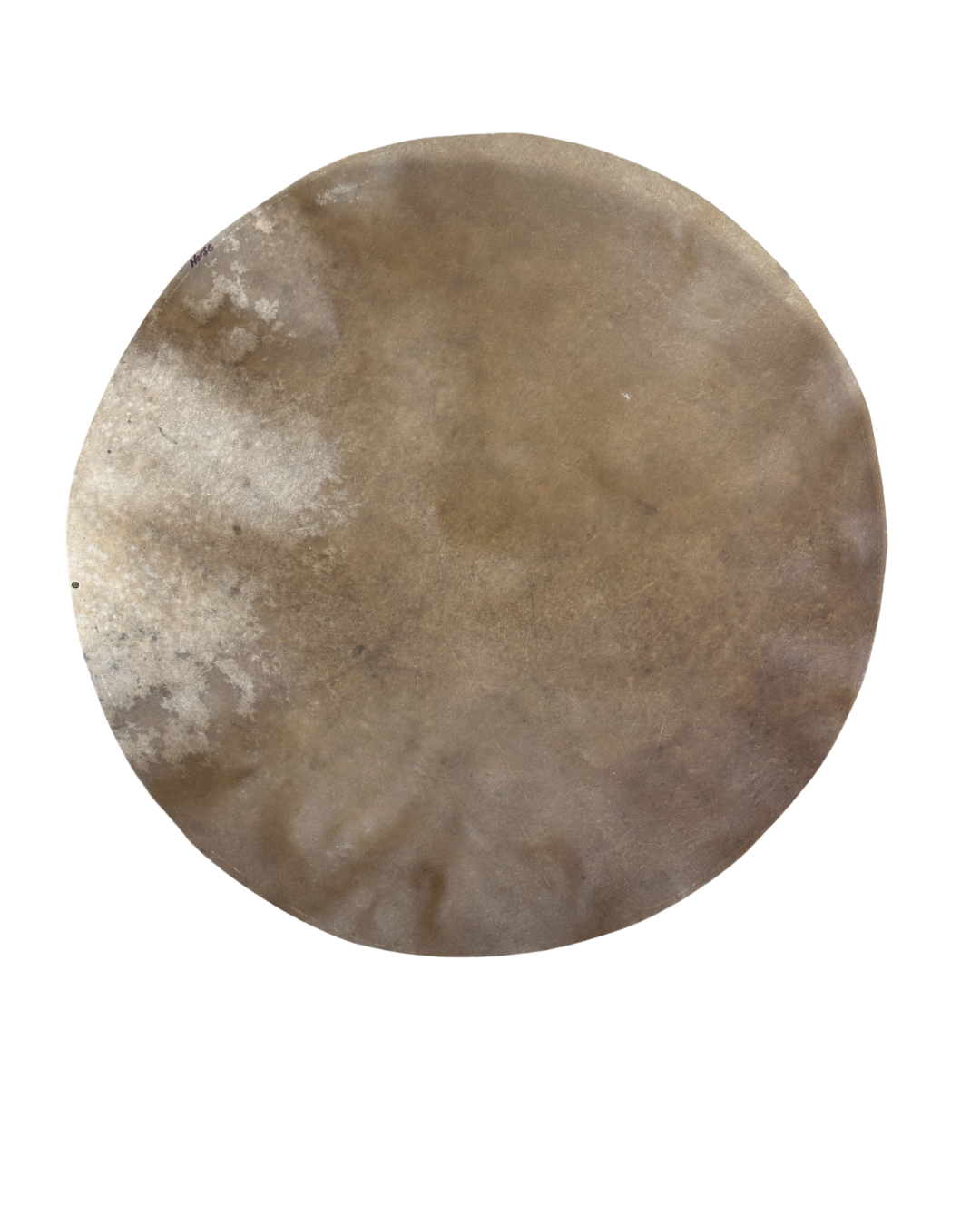 Horse skin